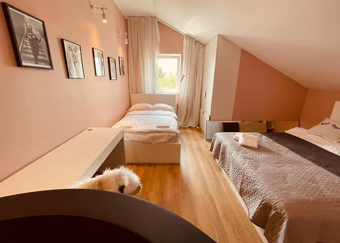 דירה Ktw Penthouse Z Tarasem